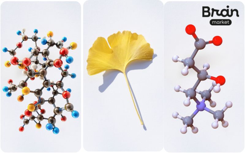 CDP cholin Pokročilá forma cholinu z přírodních zdrojů (1)